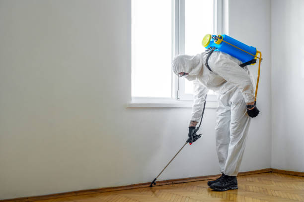 Best Commercial Pest Control  in Fairfax Station, VA